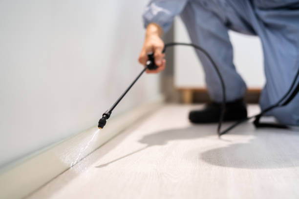 Licensed Pest Control service in Iron River, MI - Show Me Pest Control