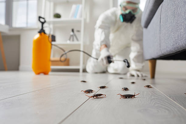 Post-Treatment Bed Bug Interceptor Monitoring in Iron River