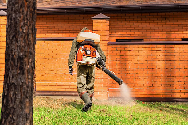 Bed Bug Clearance Verification and Documentation in Iron River